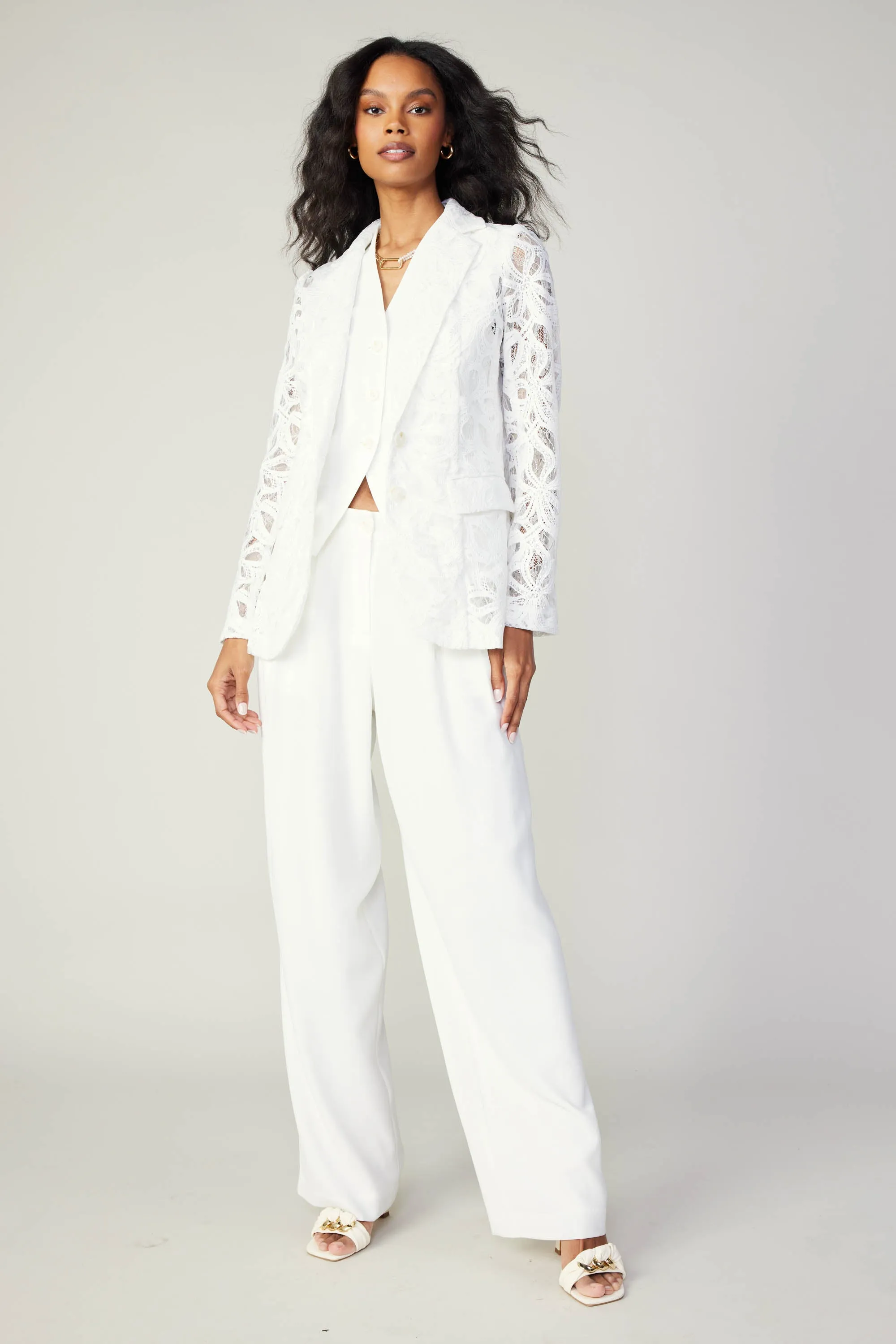 Lace Single Breasted Blazer sold by Current Air product image thumbnail 3