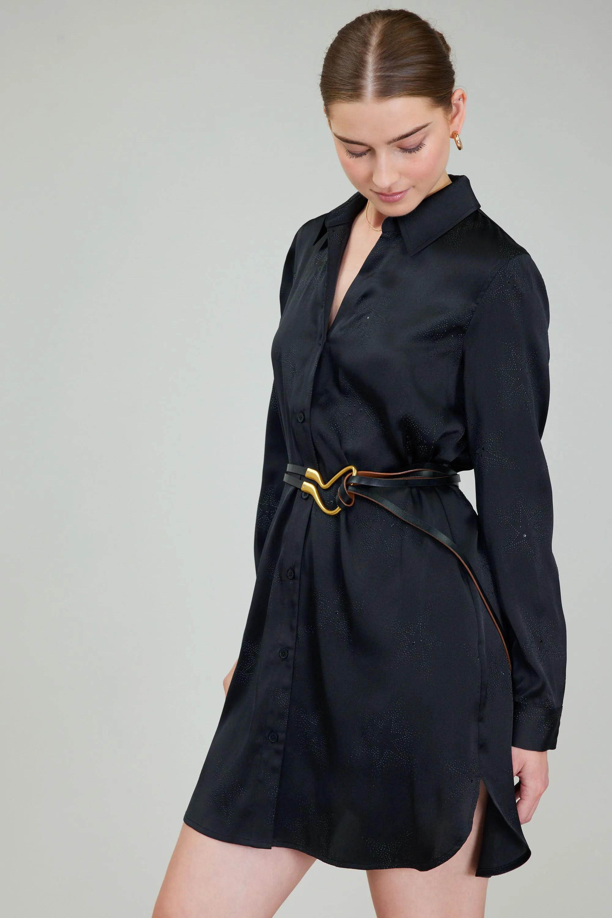 Buttondown Mini Shirt Dress sold by Current Air product image thumbnail 4