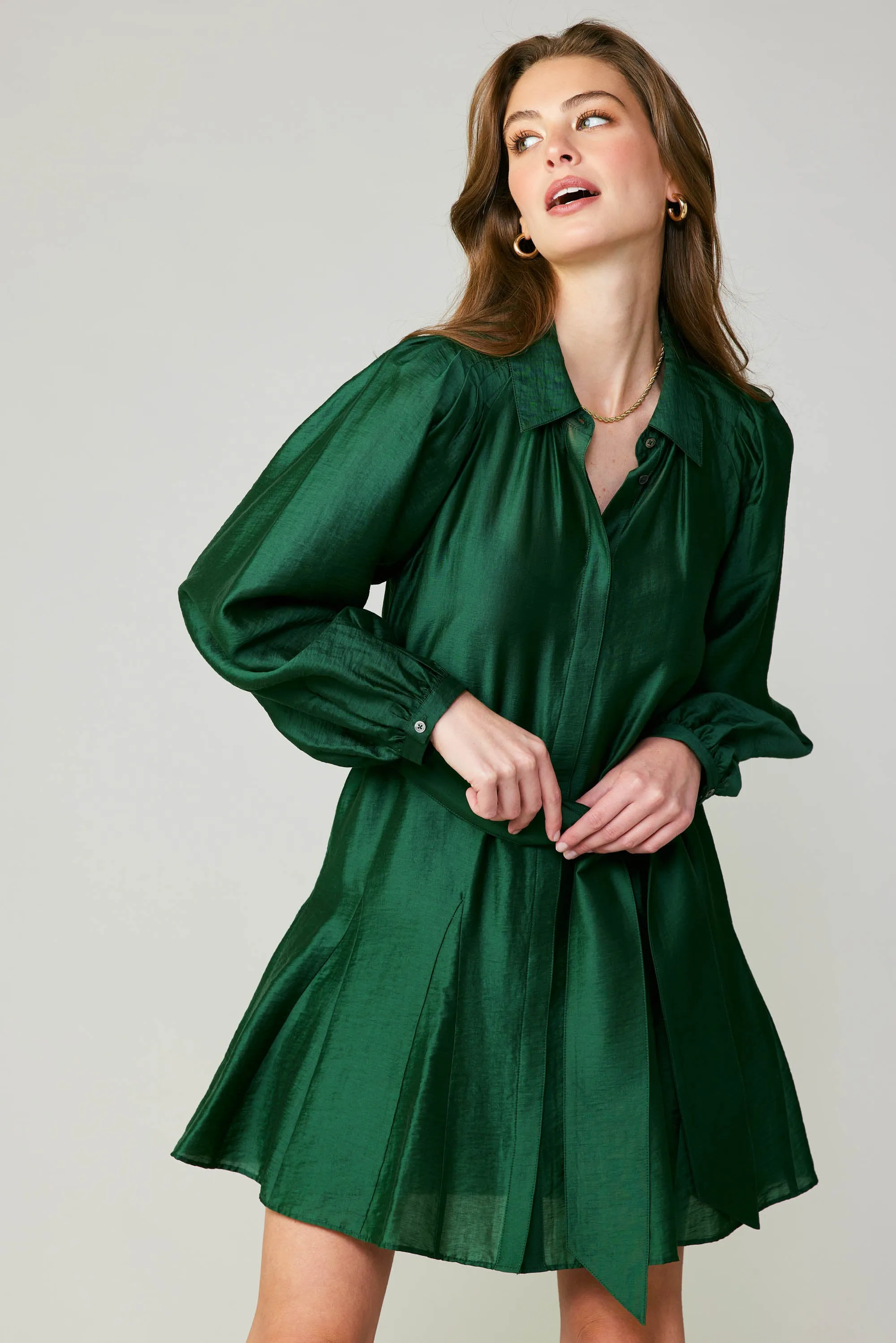 Lustrous Belted Mini Dress sold by Current Air product image thumbnail 4