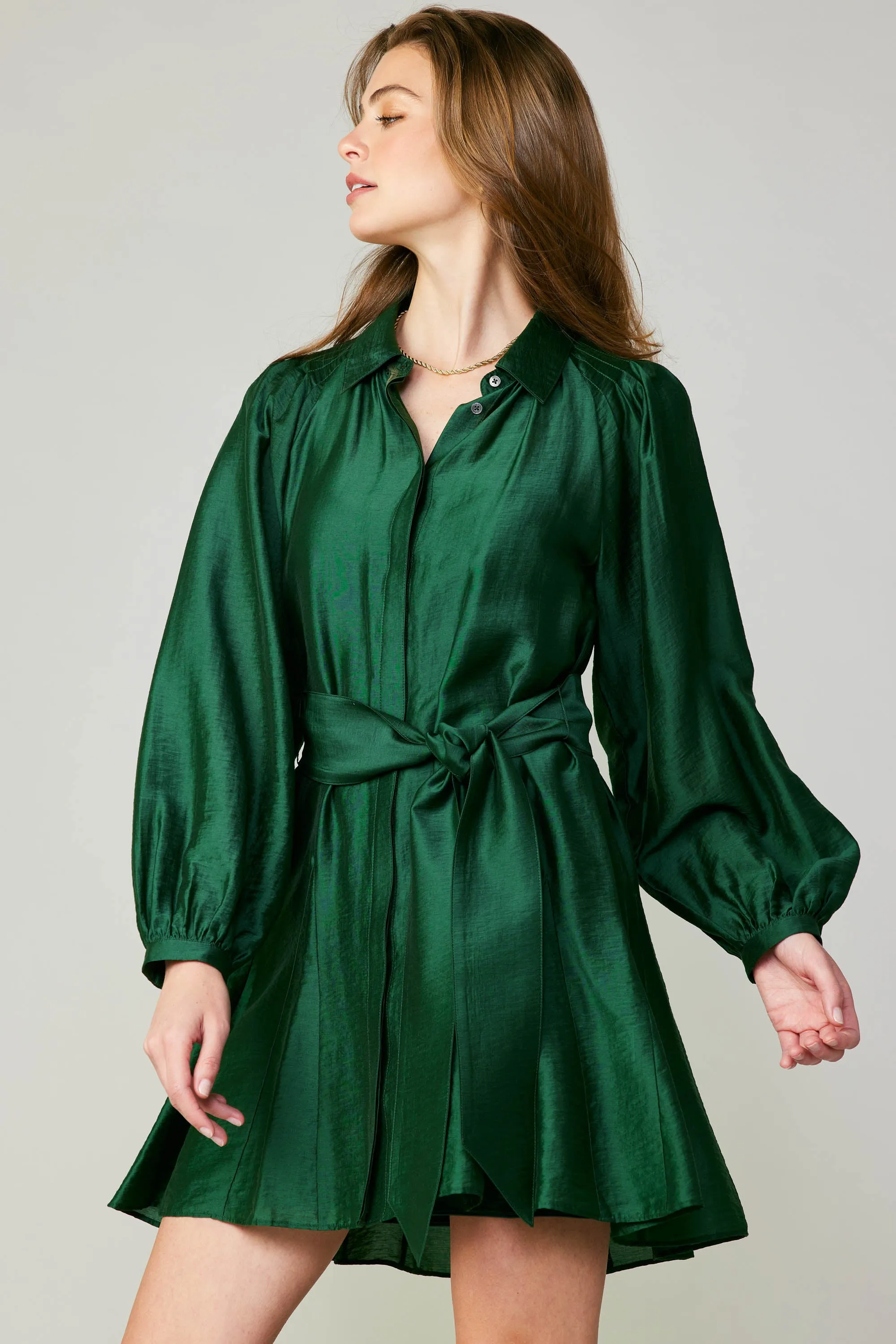 Lustrous Belted Mini Dress sold by Current Air product image thumbnail 3