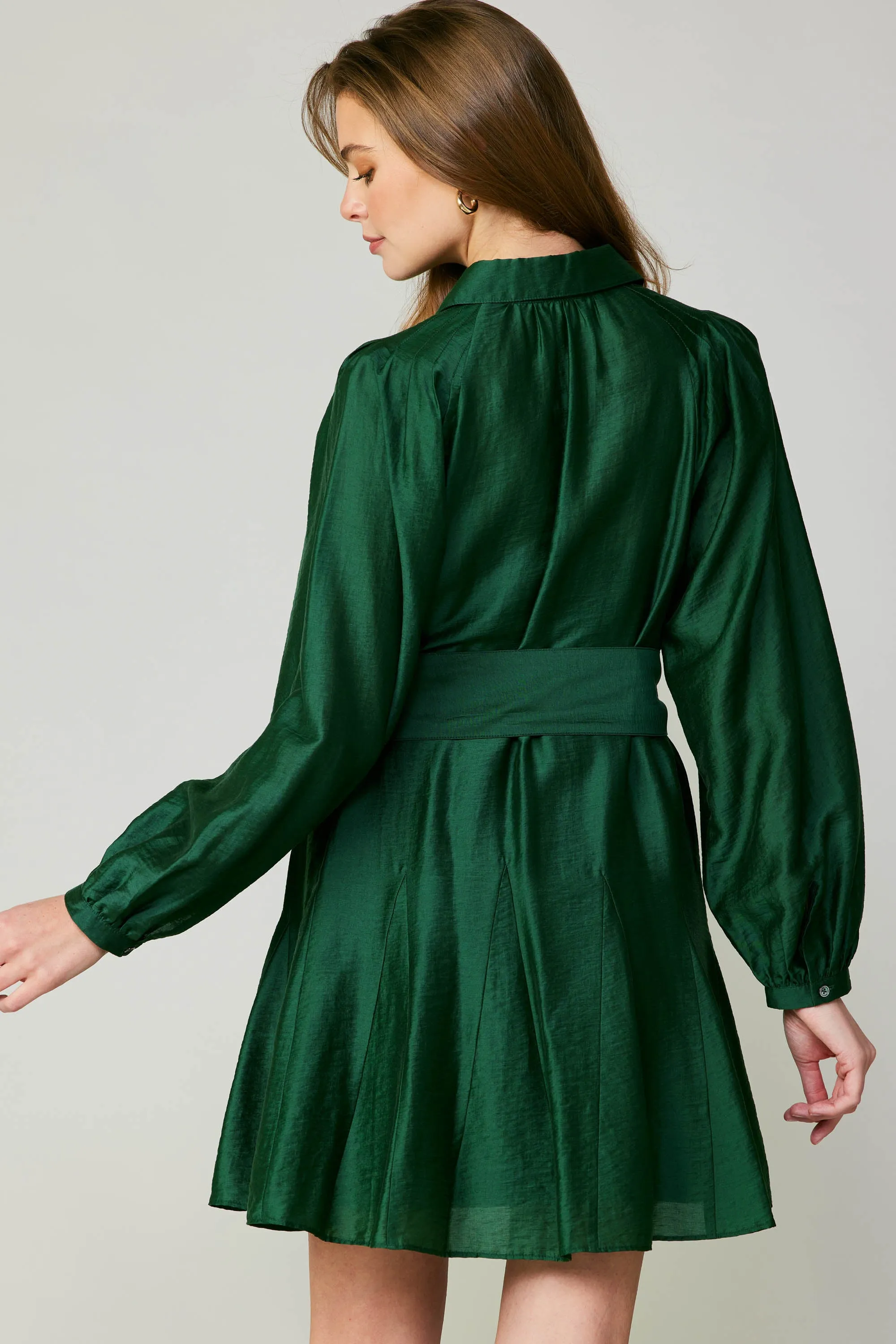 Lustrous Belted Mini Dress sold by Current Air product image thumbnail 5