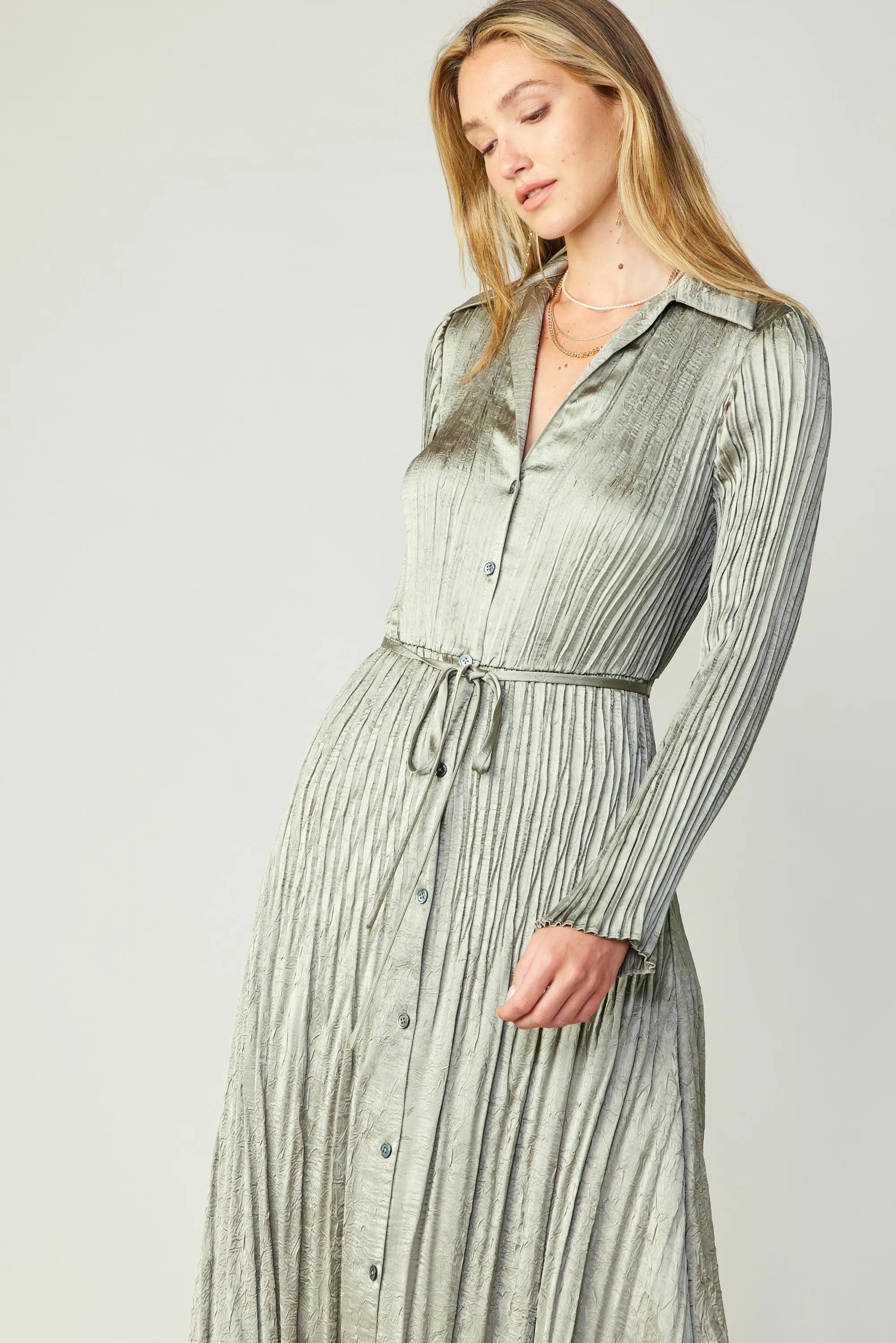 Plisse Button Down Dress sold by Current Air product image thumbnail 3