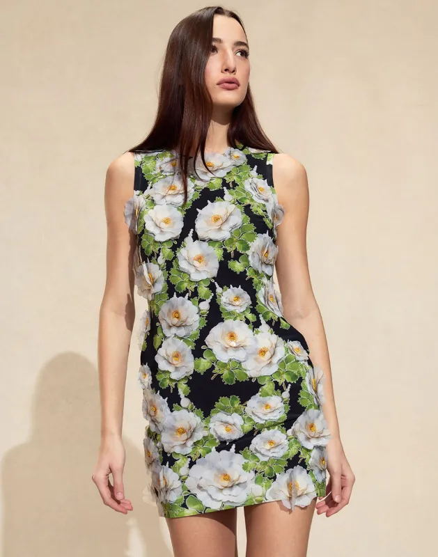 Cornelia Appliqué Dress made by Cynthia Rowley