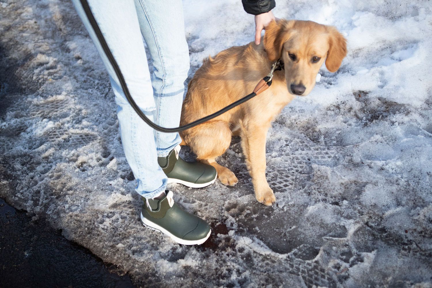 Slush Sport - Women's sold by Dakine product image thumbnail 5