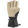 Team Phoenix GORE-TEX Glove - Kazu Kokubo sold by Dakine