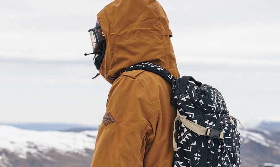 Heli Pro 20L Backpack - Women's - W20 sold by Dakine product image thumbnail 12