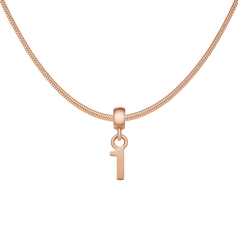 Number Rose Gold Charm + Snake Necklace RG made by Daniel Wellington