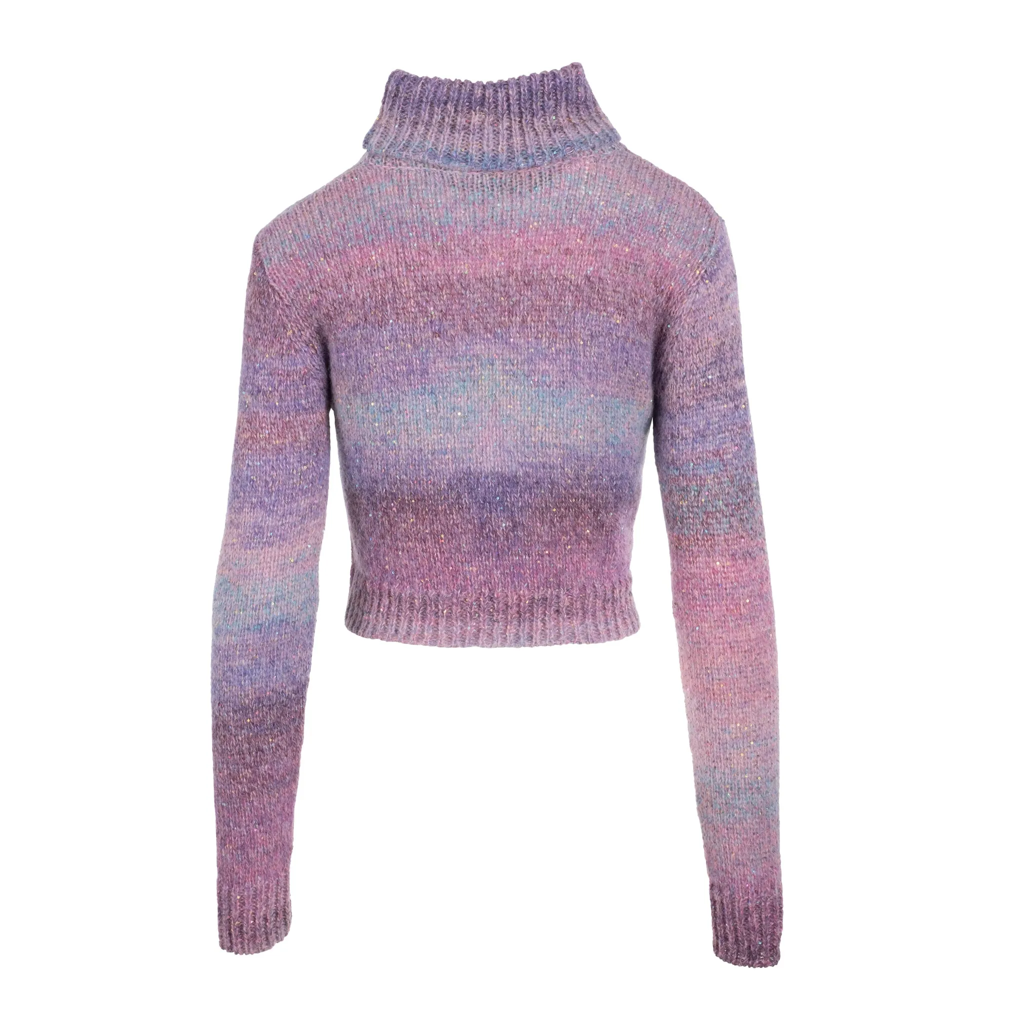 Mystical Sequin Turtleneck sold by DANNIJO product image thumbnail 4