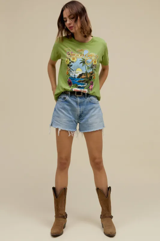 The Beach Boys 1963 Ringer Tee in Matcha sold by Daydreamer