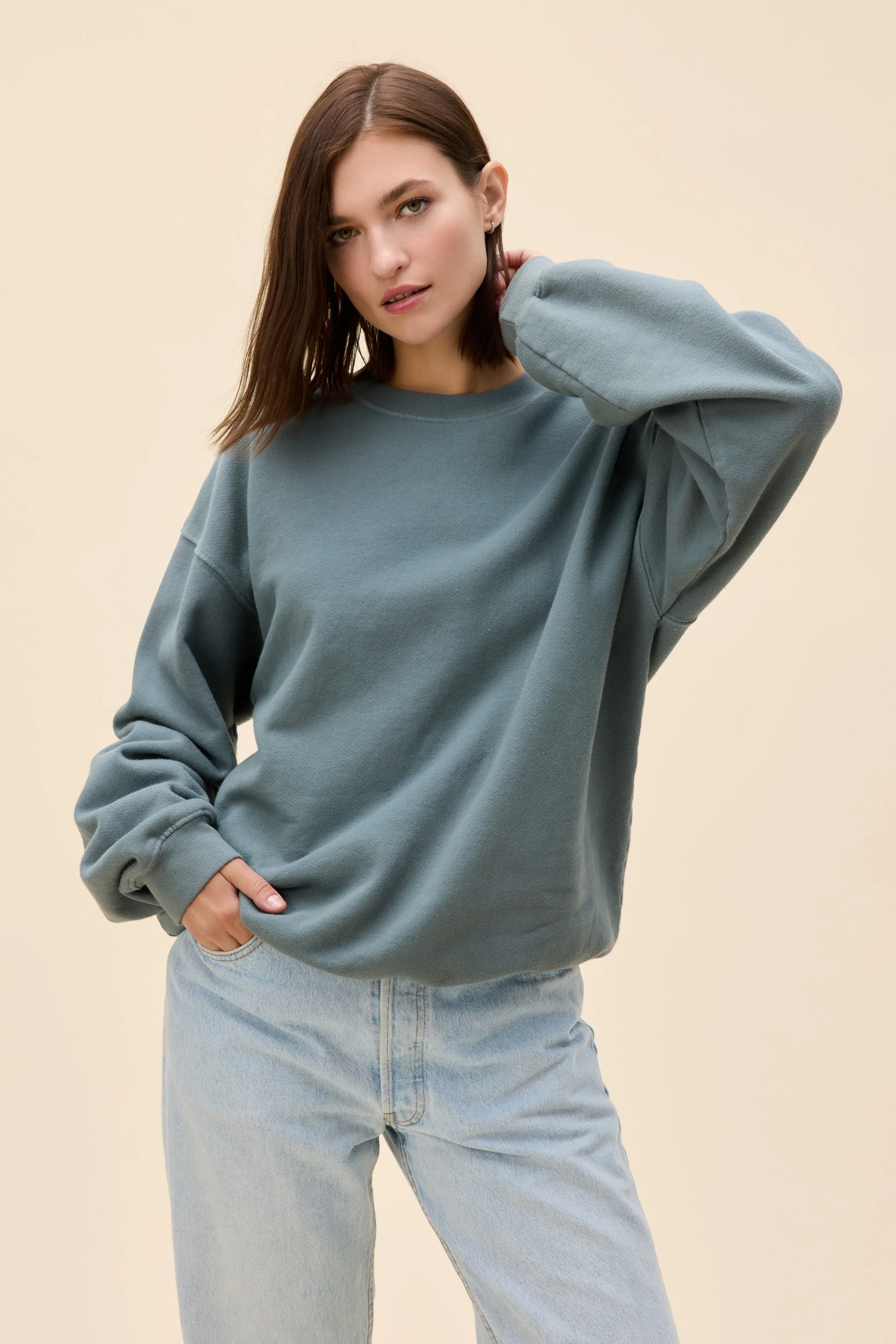 Solid BF Sweatshirt sold by Daydreamer product image thumbnail 4