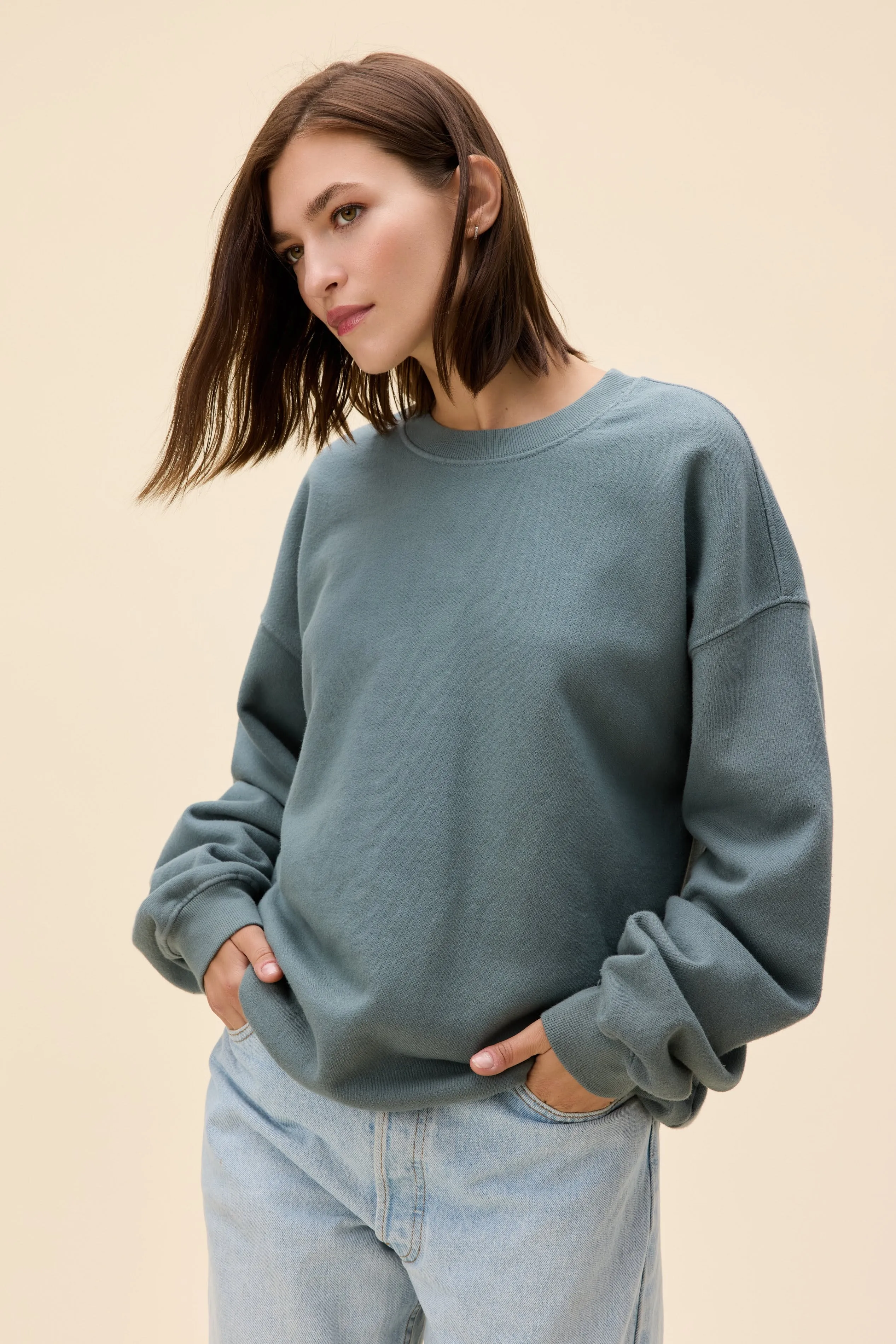 Solid BF Sweatshirt sold by Daydreamer product image thumbnail 2