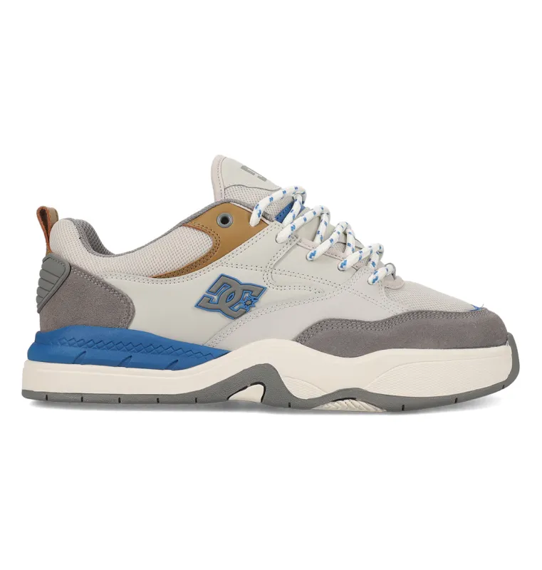 Men's Ascend Skate Shoes sold by DC