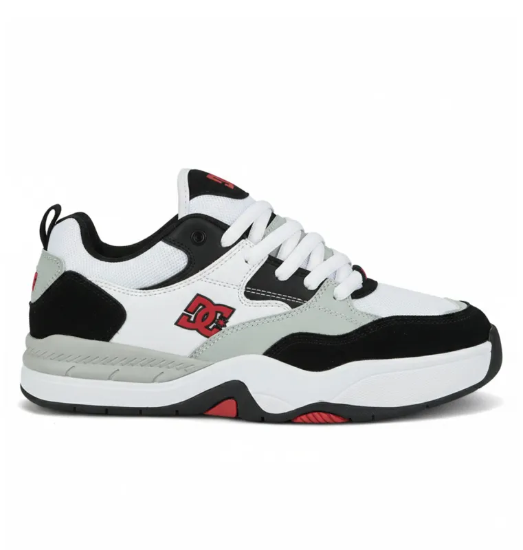 Men's Ascend Skate Shoes made by DC
