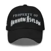 Batman: The Animated Series Hat Arkham Asylum Embroidered sold by DC Comics