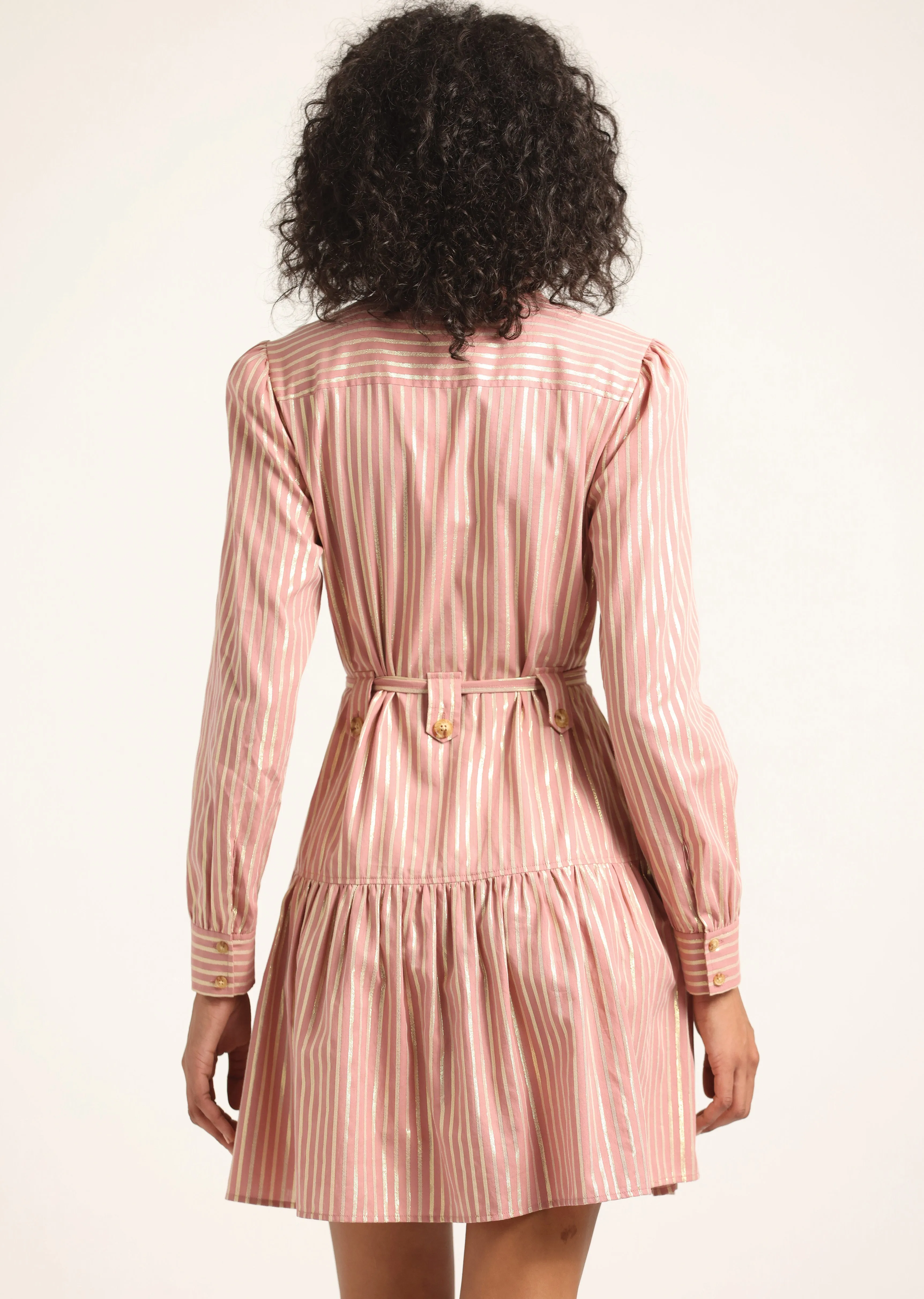 Kayla Utility Mini Shirt Dress - Rosewood-Gold sold by Derek Lam product image thumbnail 5