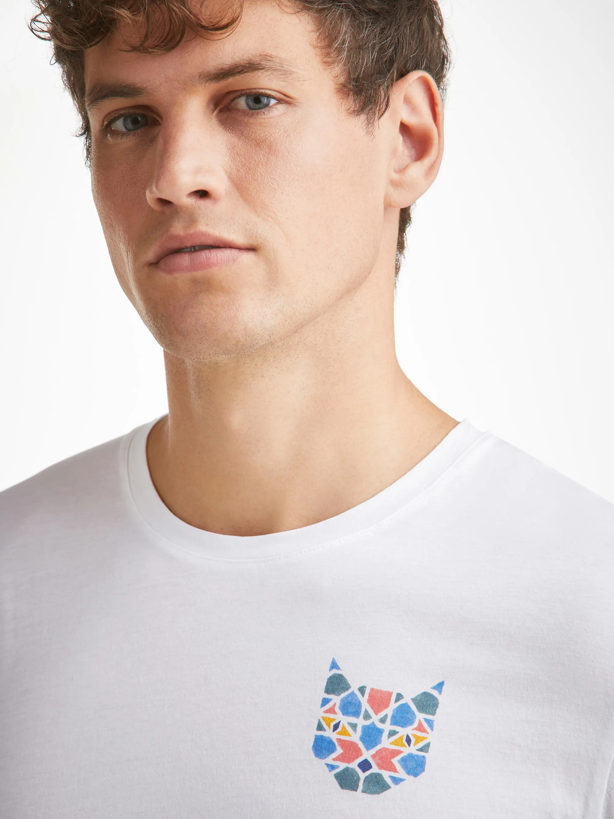 Men's T-Shirt Ripley 17 Pima Cotton White sold by Derek Rose product image thumbnail 5