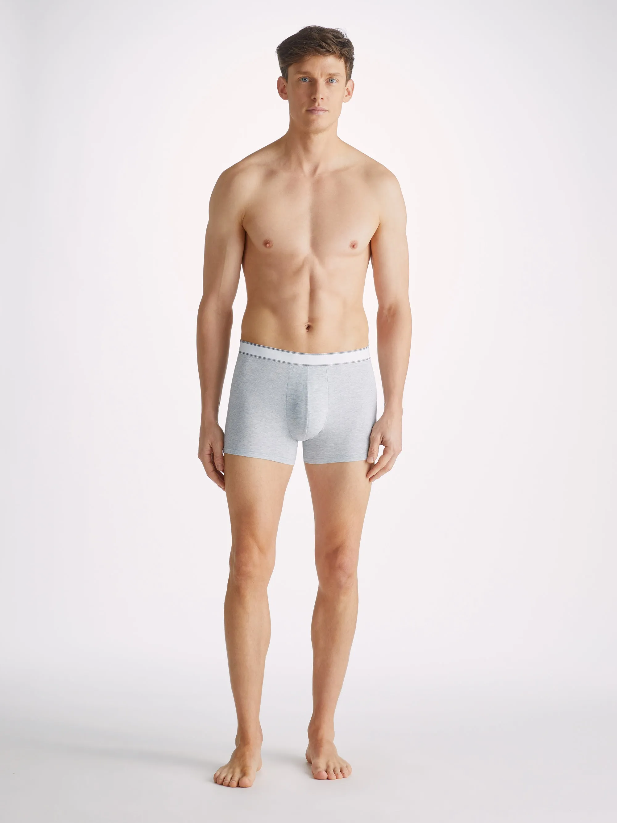 Men's Boxer Briefs Ethan Micro Modal Stretch Silver Marl sold by Derek Rose product image thumbnail 3