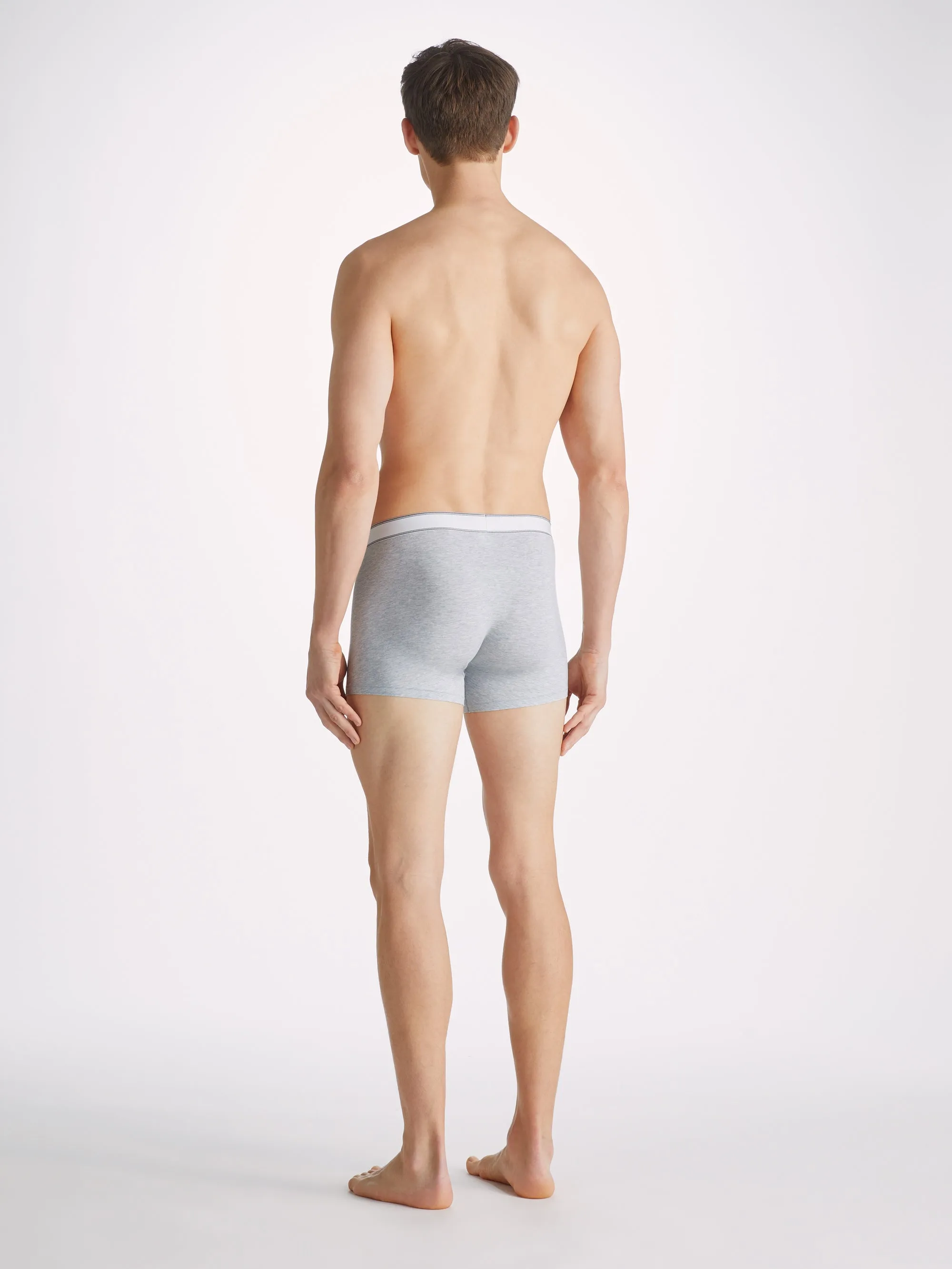 Men's Boxer Briefs Ethan Micro Modal Stretch Silver Marl sold by Derek Rose product image thumbnail 4