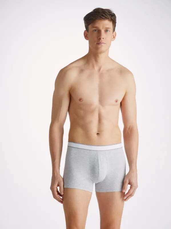 Men's Boxer Briefs Ethan Micro Modal Stretch Silver Marl sold by Derek Rose