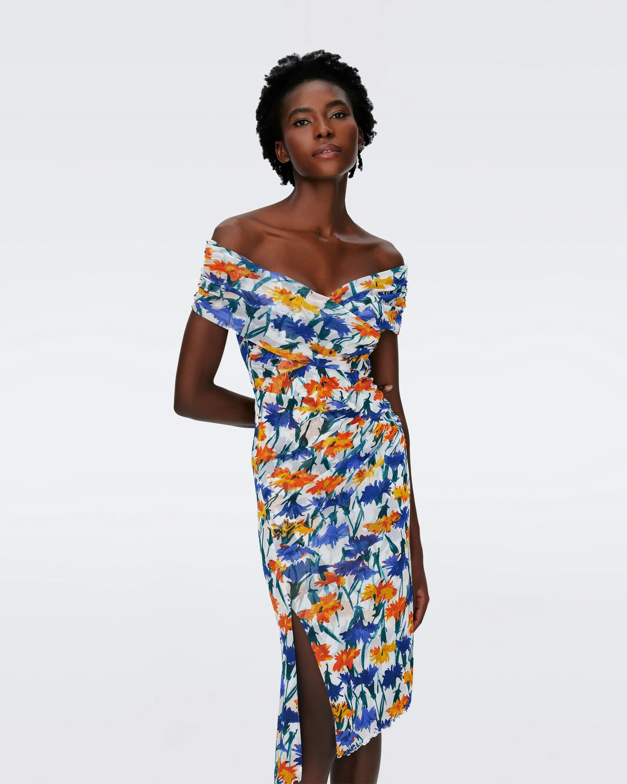 Lovinia Mesh Dress sold by Diane Von Furstenberg product image thumbnail 5