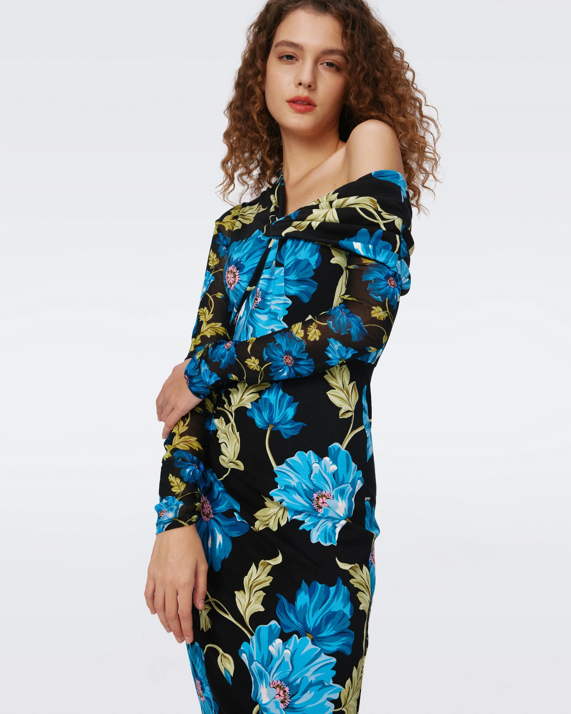 Rich Dress sold by Diane Von Furstenberg product image thumbnail 5