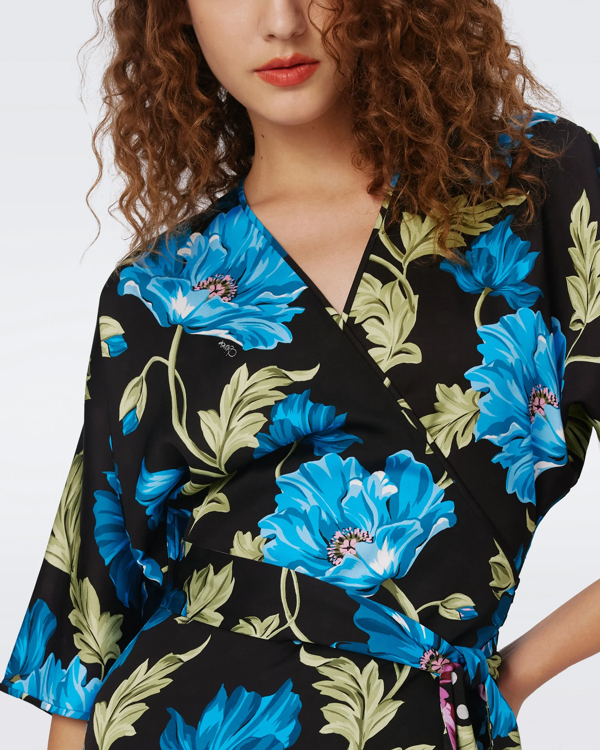 Rosalina Reversible Wrap Dress sold by Diane Von Furstenberg product image thumbnail 4