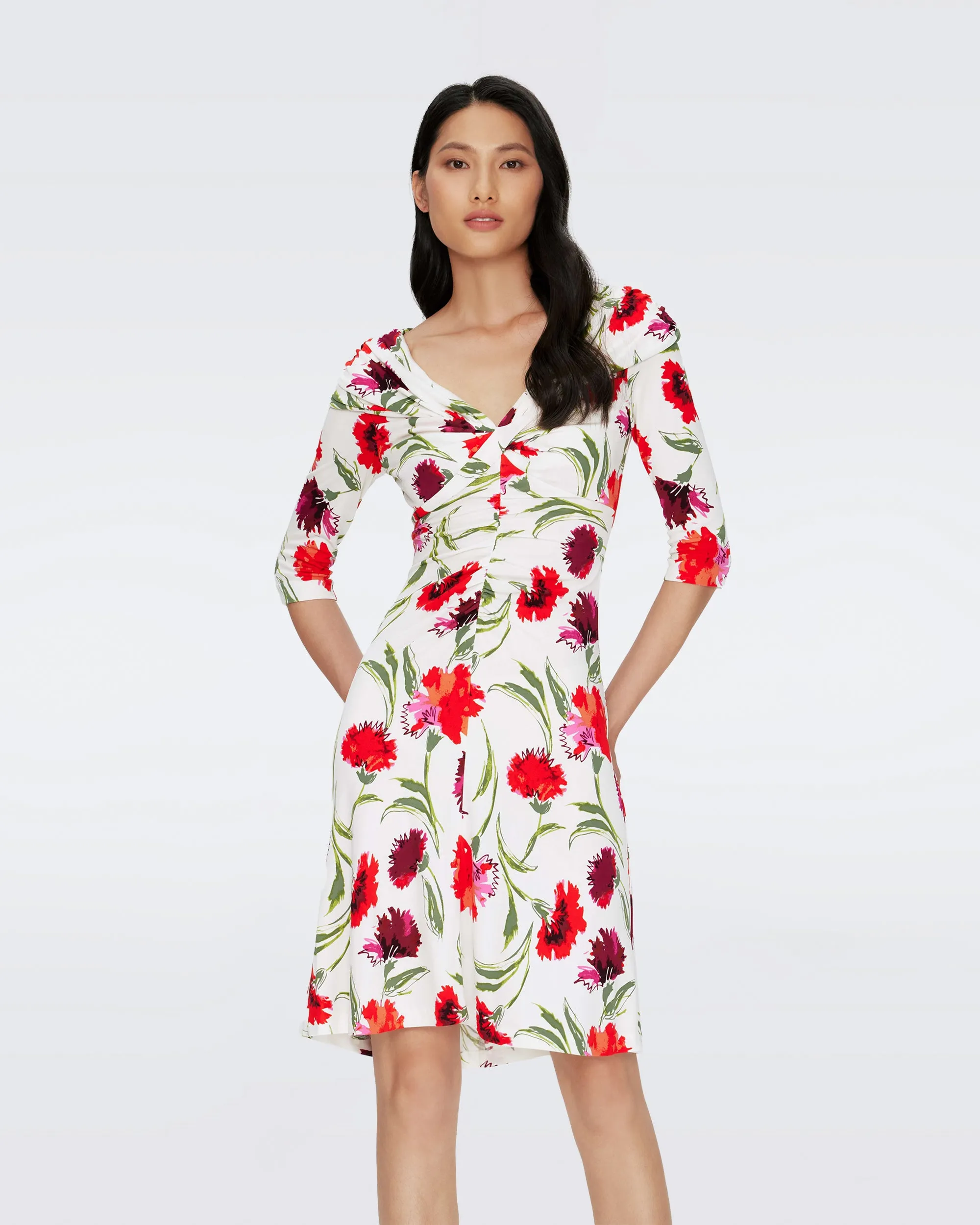 Jim Dress sold by Diane Von Furstenberg