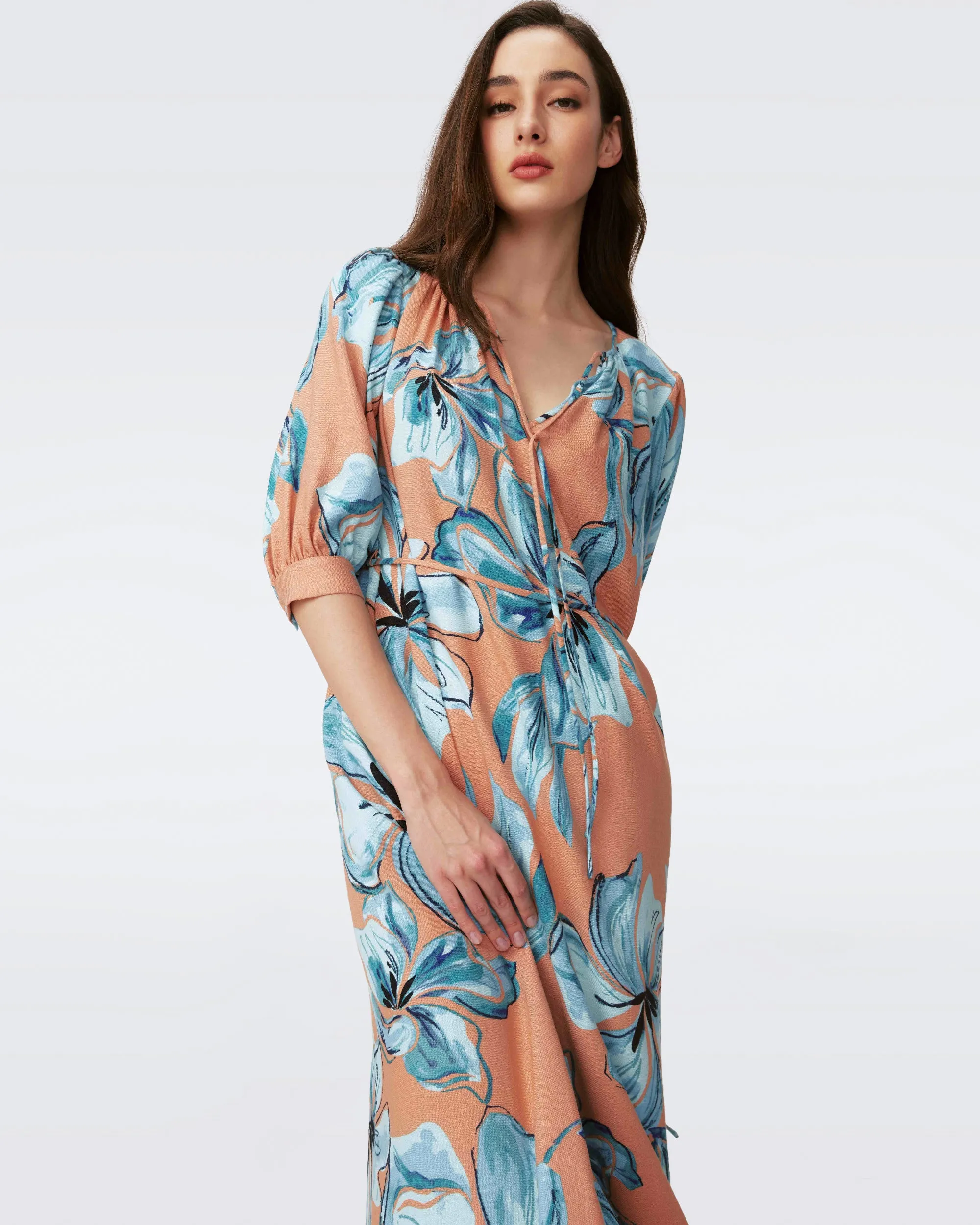 Drogo Dress sold by Diane Von Furstenberg product image thumbnail 4