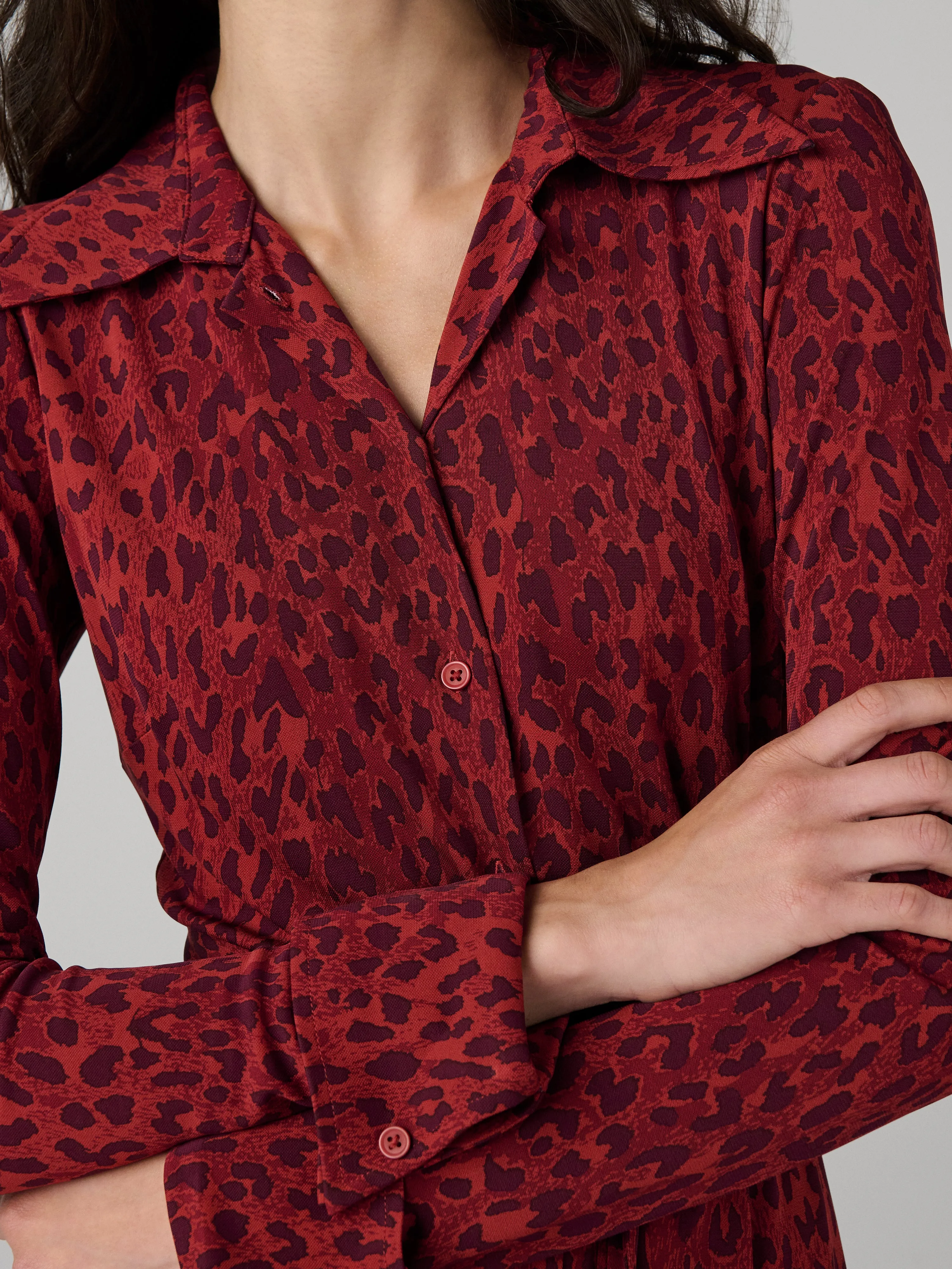 Diane Shirt Dress sold by Diane Von Furstenberg product image thumbnail 2