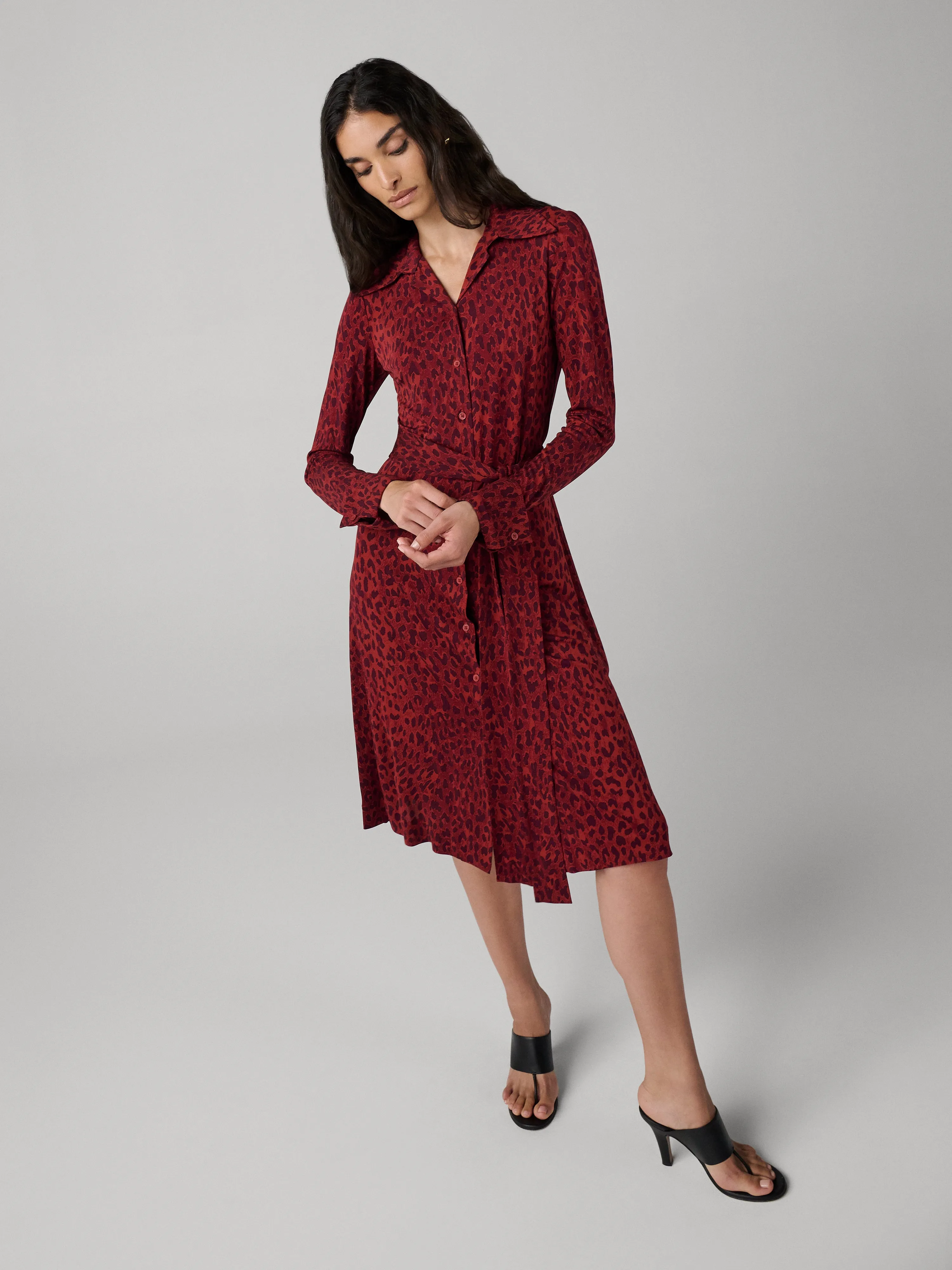 Diane Shirt Dress sold by Diane Von Furstenberg product image thumbnail 4