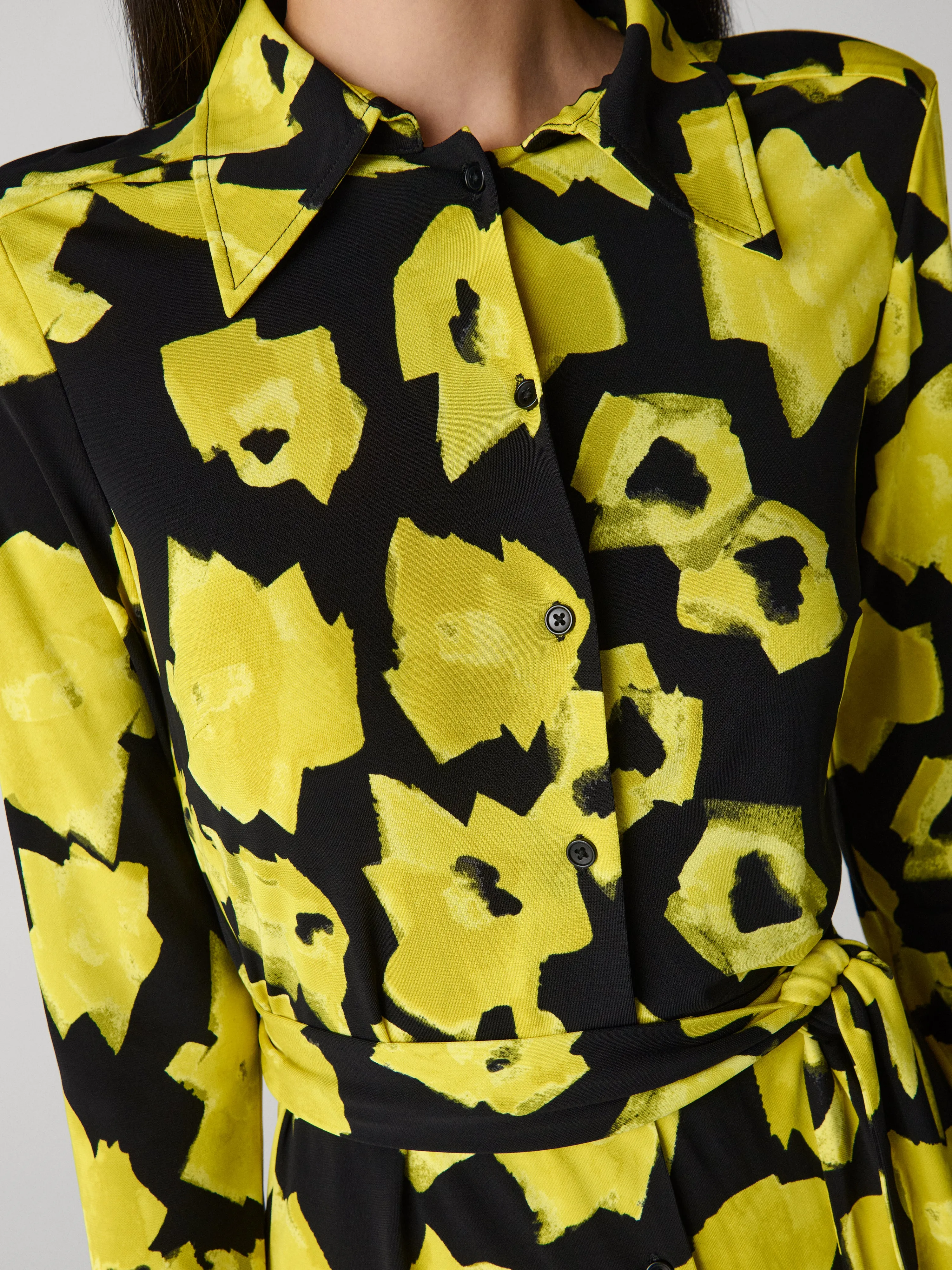 Diane Shirt Dress sold by Diane Von Furstenberg product image thumbnail 2