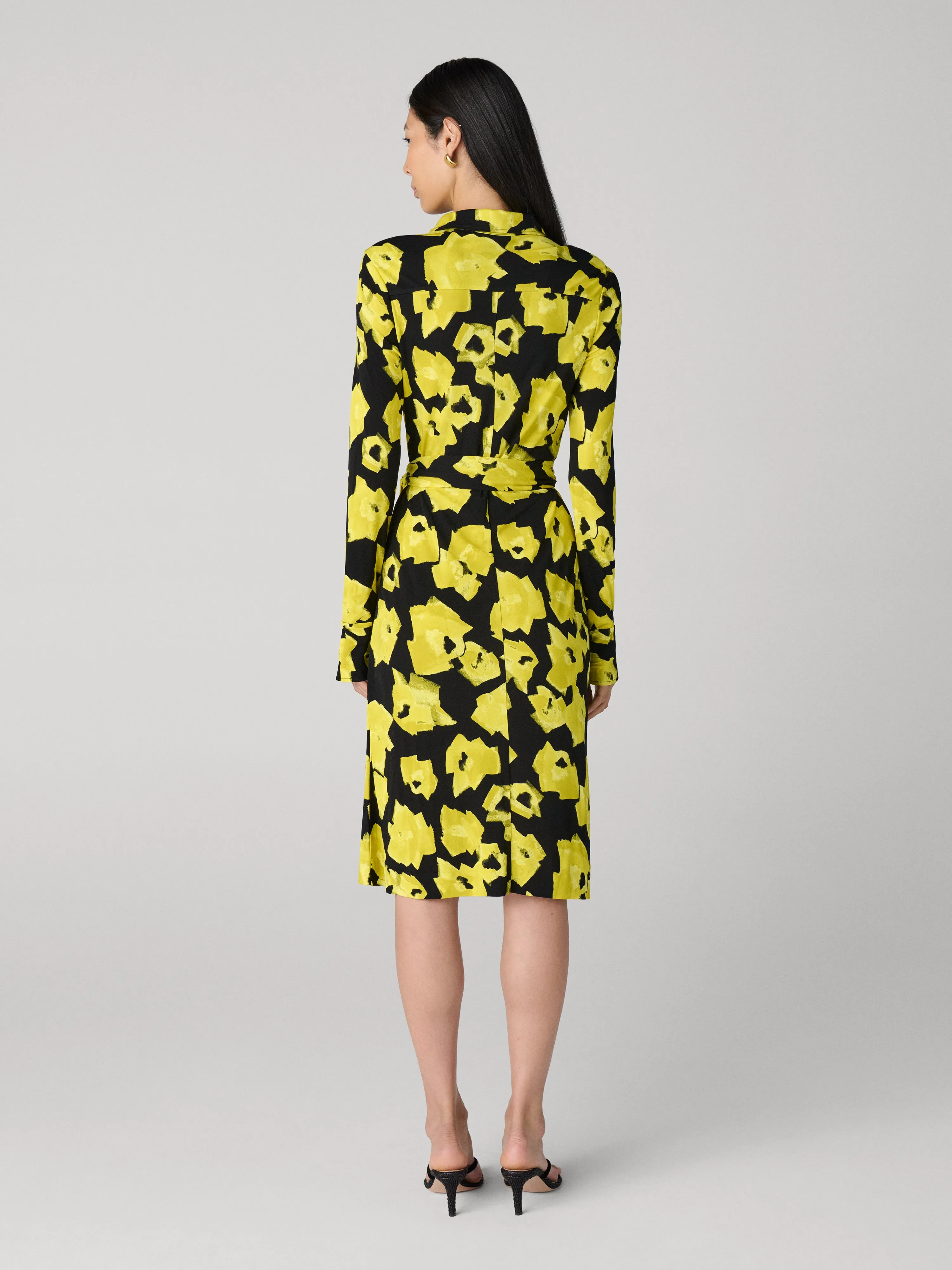 Diane Shirt Dress sold by Diane Von Furstenberg product image thumbnail 4