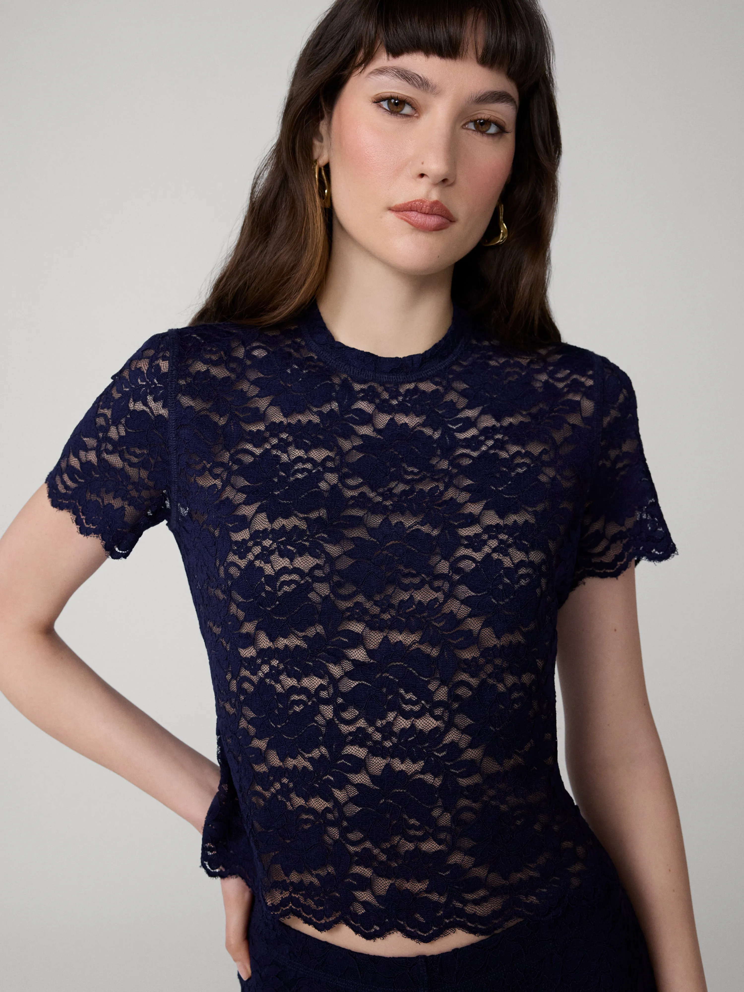 Perfect Short Sleeve Lace Top sold by Diane Von Furstenberg product image thumbnail 4