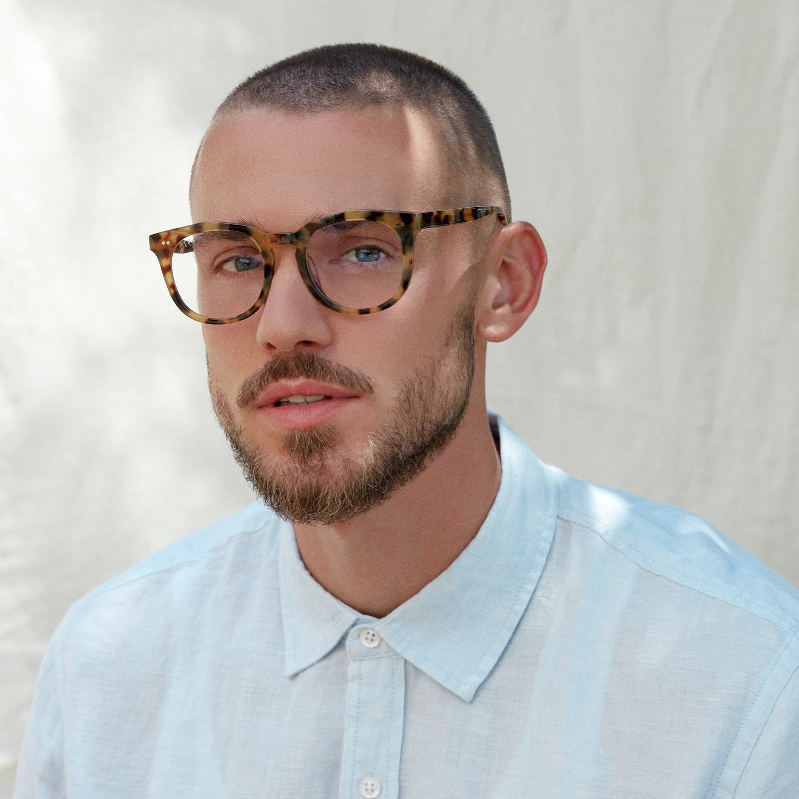 WESTON - HAZEL TORTOISE + BLUE LIGHT TECHNOLOGY GLASSES sold by Diff Eyewear product image thumbnail 5