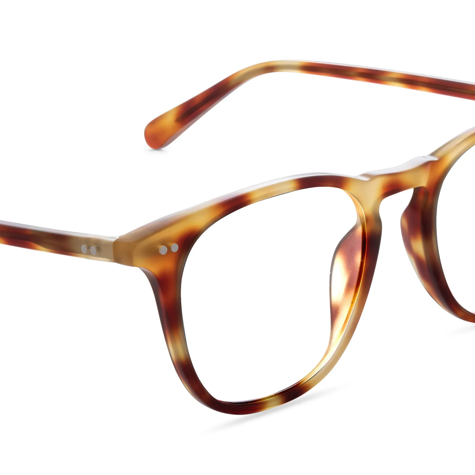 MAXWELL - SOLSTICE TORTOISE + BLUE LIGHT TECHNOLOGY GLASSES sold by Diff Eyewear product image thumbnail 3