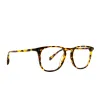 MAXWELL - AMBER TORTOISE + PRESCRIPTION GLASSES sold by Diff Eyewear