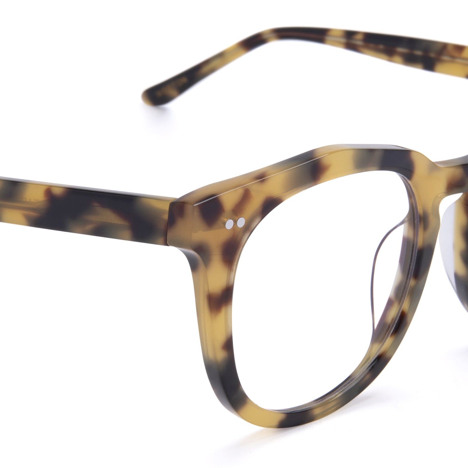 WESTON - HAZEL TORTOISE + CLEAR GLASSES sold by Diff Eyewear product image thumbnail 2