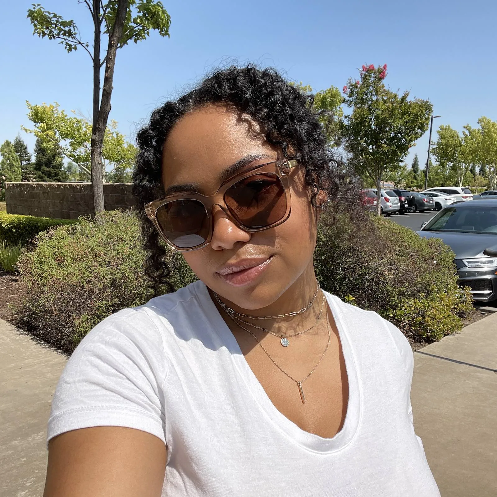 HAILEY - NUTSHELL + BROWN SUNGLASSES sold by Diff Eyewear product image thumbnail 4