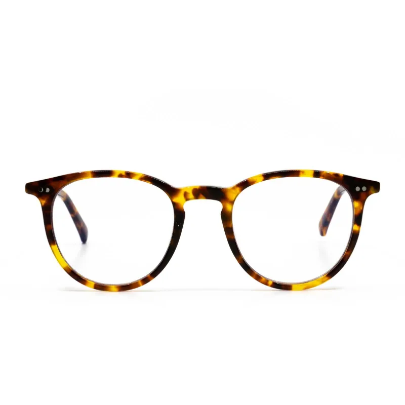 HAZE - AMBER TORTOISE + CLEAR GLASSES sold by Diff Eyewear