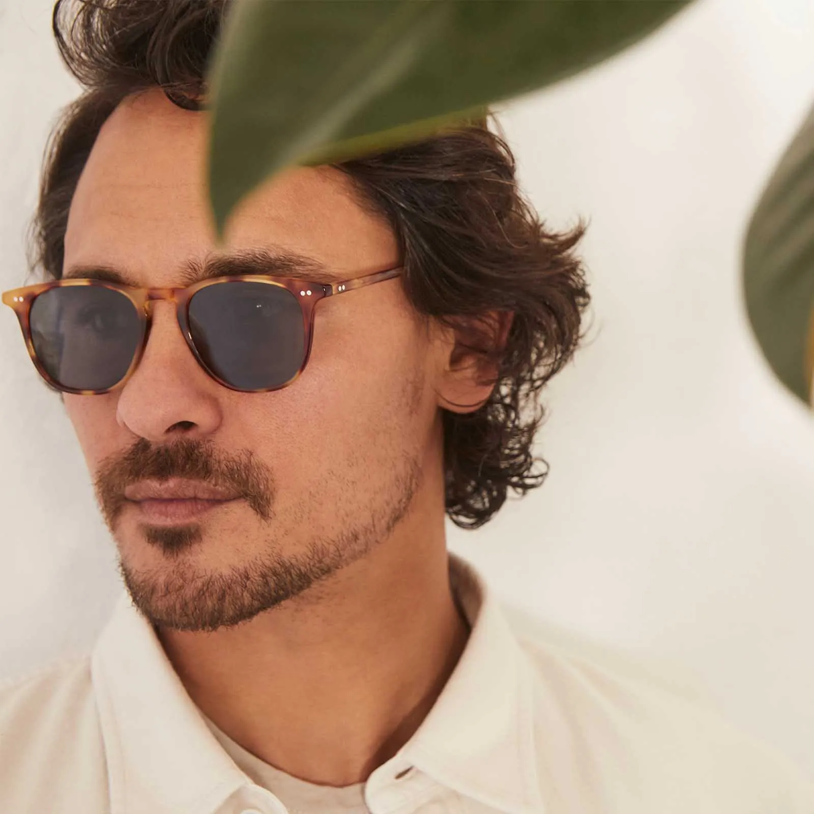 MAXWELL - SOLSTICE TORTOISE + GREY SUNGLASSES sold by Diff Eyewear product image thumbnail 5