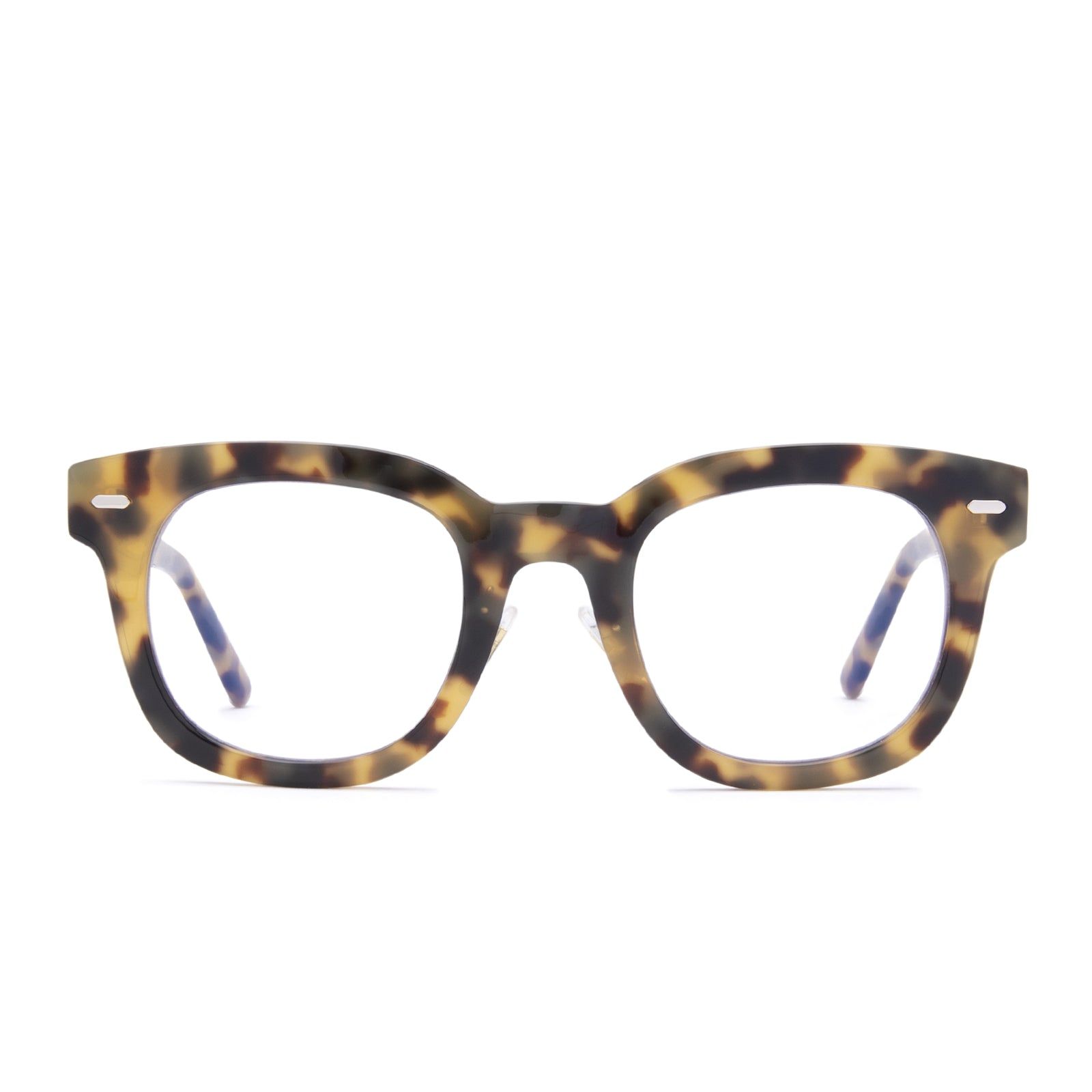 SUMMER - HAZEL TORTOISE + BLUE LIGHT TECHNOLOGY GLASSES sold by Diff Eyewear