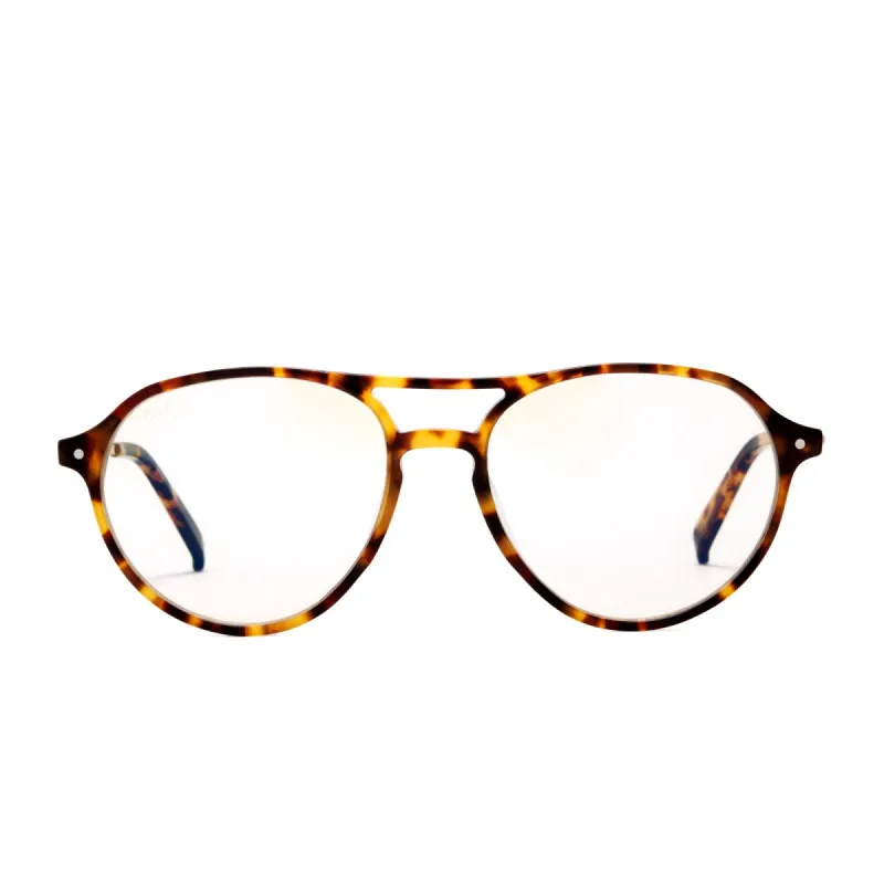 MILLER - AMBER TORTOISE + CLEAR GLASSES sold by Diff Eyewear