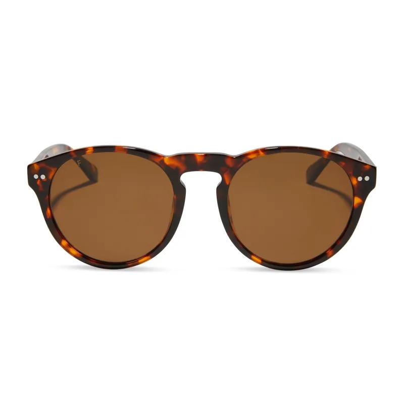 CODY XL - RICH TORTOISE + BROWN + POLARIZED SUNGLASSES sold by Diff Eyewear