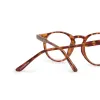 CHASE - AMBER TORTOISE + BLUE LIGHT READERS sold by Diff Eyewear