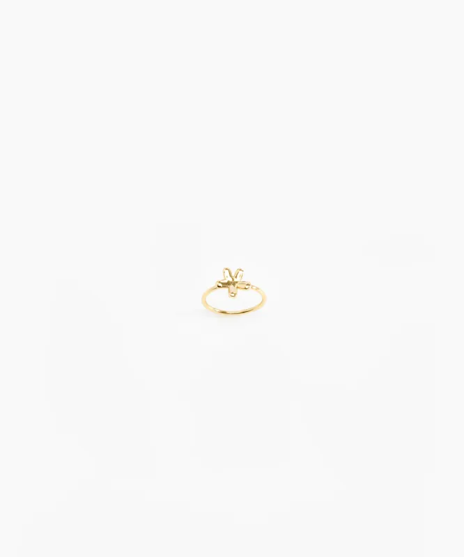 Small Daisy Ring sold by Dinosaur Designs