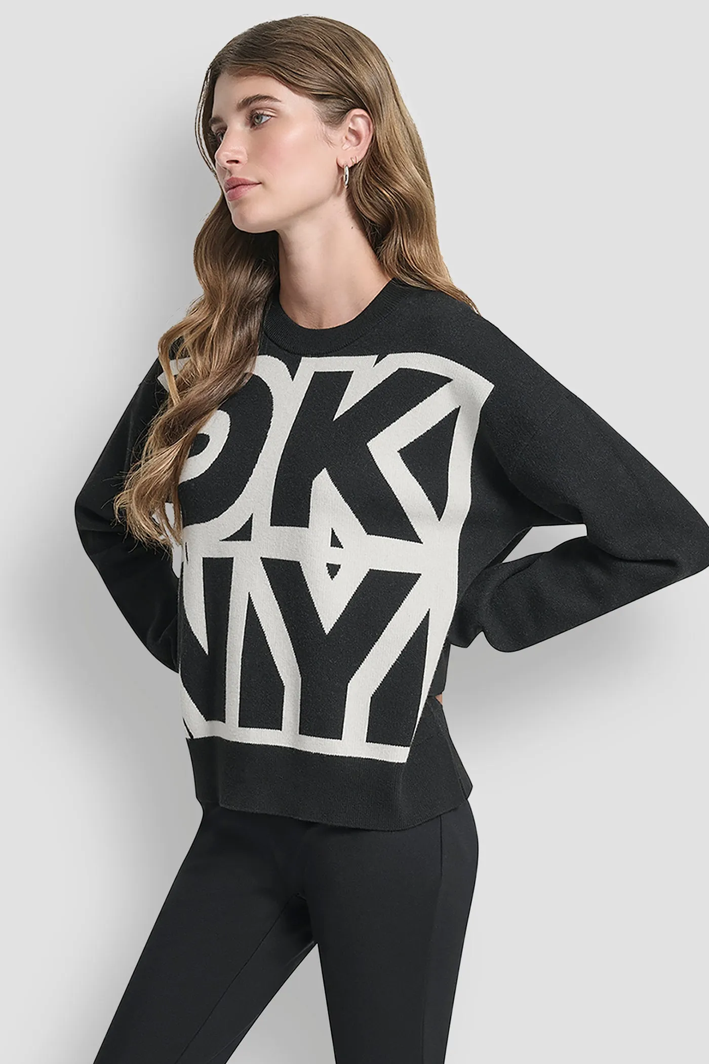LARGE COLORBLOCK LOGO SWEATER sold by DKNY product image thumbnail 3