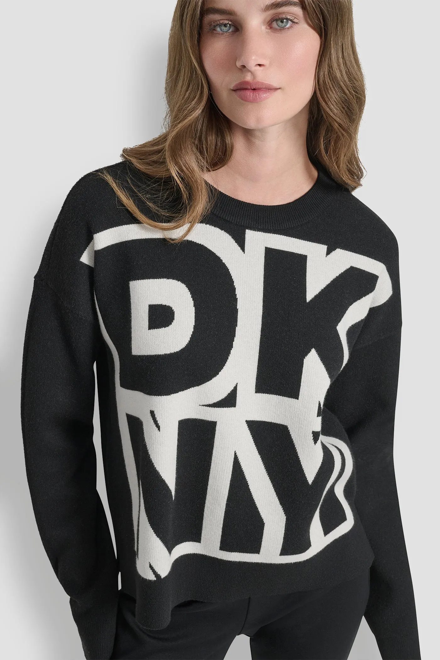 LARGE COLORBLOCK LOGO SWEATER sold by DKNY product image thumbnail 4