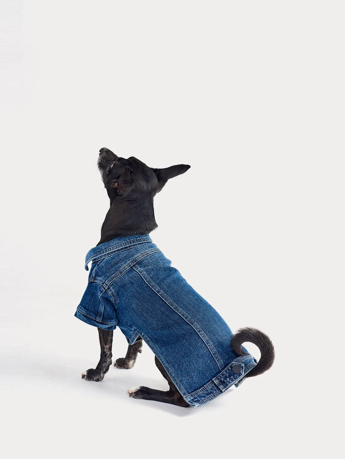 Fido Canine Trucker M/L | Puppy Breath sold by DL1961 product image thumbnail 3