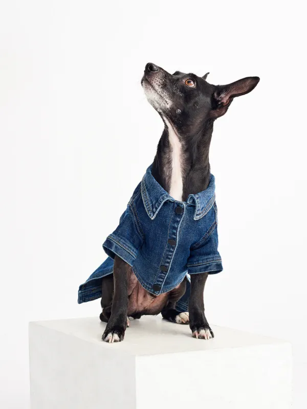 Fido Canine Trucker M/L | Puppy Breath made by DL1961