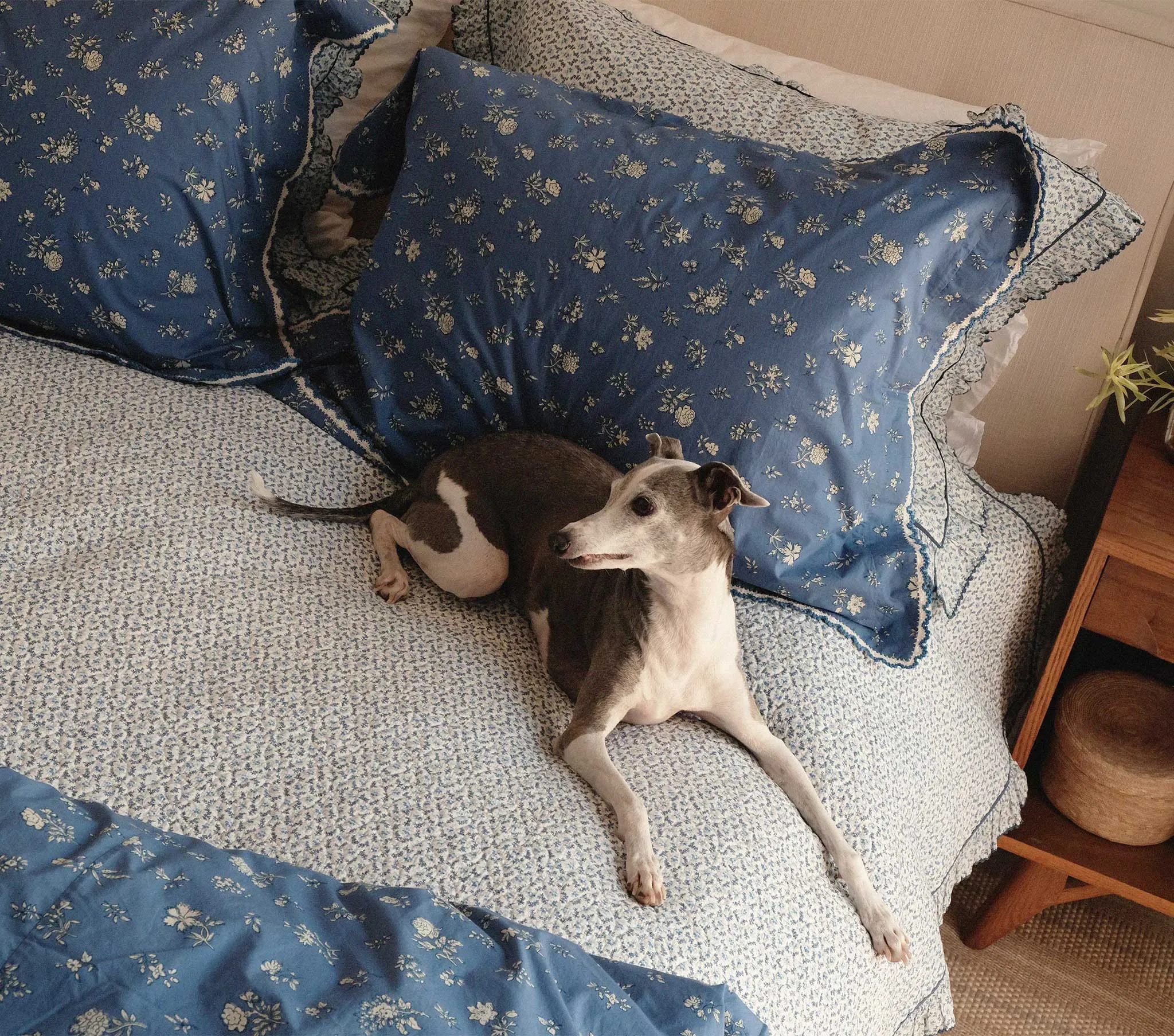 QUILT -- BLUE WINTER DITSY sold by Doen product image thumbnail 4